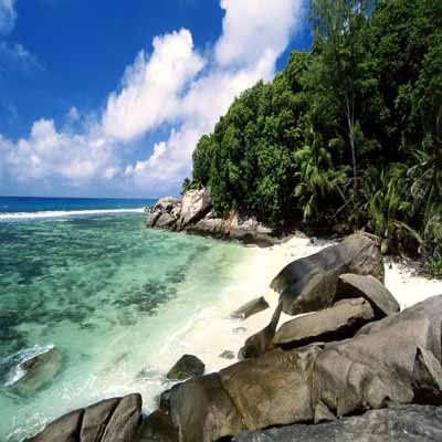 海南水泥磚機(jī)