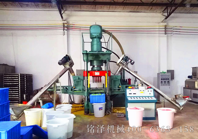 200噸雙色魚餌壓塊機客戶現場